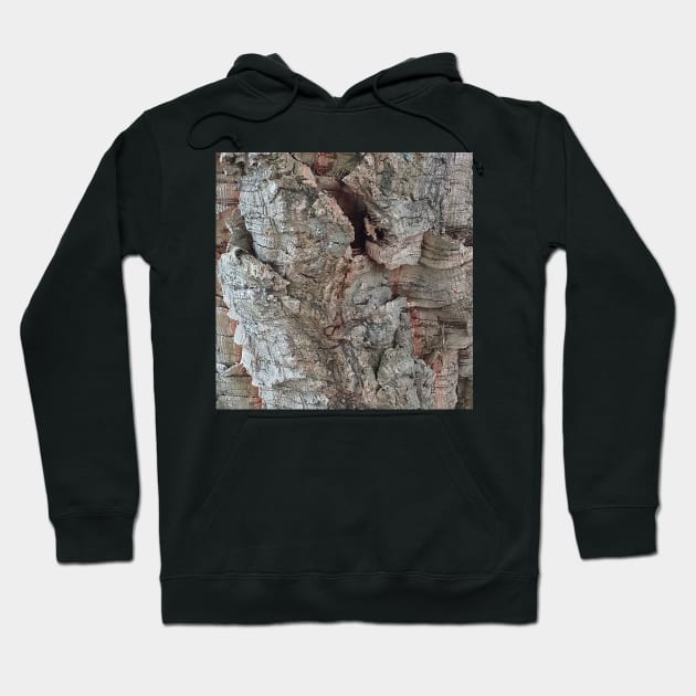 Cork Oak Tree Bark Texture 4 Hoodie by oknoki